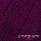 Dapper Dreamer Summer Beetroot