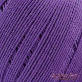 Dapper Dreamer Summer Grape
