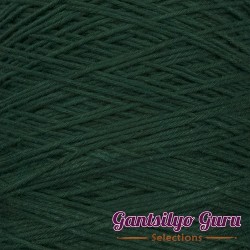 Dapper Dreamer Summer 500G Hunter