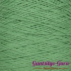 Dapper Dreamer Summer 500G Parakeet