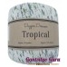 Dapper Dreamer Tropical Cactus