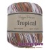 Dapper Dreamer Tropical Cosmopolitan