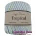Dapper Dreamer Tropical Freesia