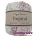 Dapper Dreamer Tropical Oasis