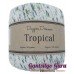 Dapper Dreamer Tropical Cactus