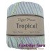 Dapper Dreamer Tropical Freesia