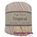 Dapper Dreamer Tropical Marmalade