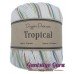 Dapper Dreamer Tropical Nursery