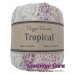 Dapper Dreamer Tropical Oasis