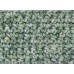 Gantsilyo Guru Milk Cotton Light Mini Flecks Scallion