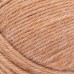 Lion Brand Basic Stitch Anti Microbial Spice