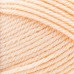 Lion Brand Basic Stitch Anti Pilling Skein Tones Peachy