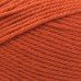 Lion Brand Basic Stitch Anti Pilling Pumpkin