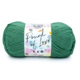 Lion Brand Pound of Love Fern 