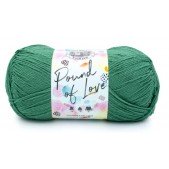 Lion Brand Pound of Love Fern 