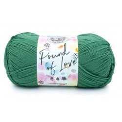 Lion Brand Pound of Love Fern 