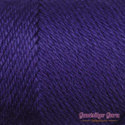 Caron Simply Soft Purple