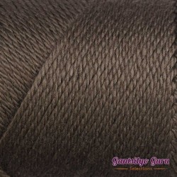 Caron Simply Soft Taupe