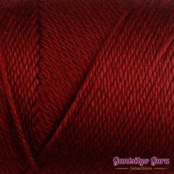 Caron Simply Soft Autumn Red
