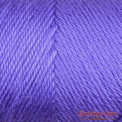Caron Simply Soft Grape