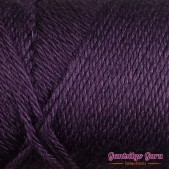 Caron Simply Soft Plum Perfect
