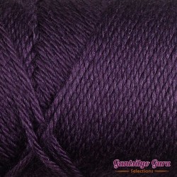 Caron Simply Soft Plum Perfect