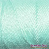 Caron Simply Soft Robin's Egg