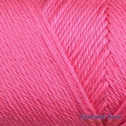 Caron Simply Soft Watermelon