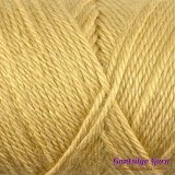 Caron Simply Soft Autumn Maize
