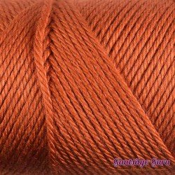Caron Simply Soft Pumpkin