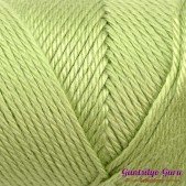 Caron Simply Soft Pistachio