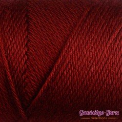 Caron Simply Soft Autumn Red