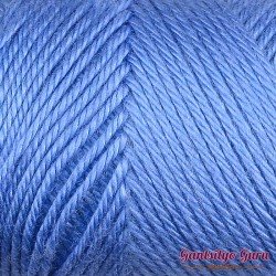 Caron Simply Soft Berry Blue