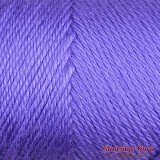Caron Simply Soft Grape