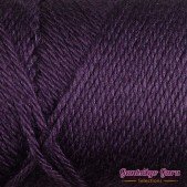Caron Simply Soft Plum Perfect