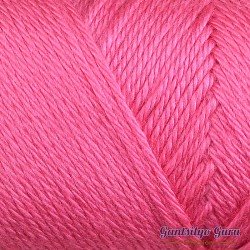 Caron Simply Soft Watermelon
