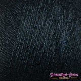 Caron Simply Soft Black
