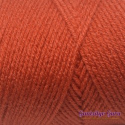 Red Heart Super Saver Coral