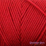 Red Heart With Love Holly Berry